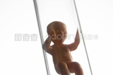 http://shenyang.nbgk120.com/post/206.html|沈阳新闻中心