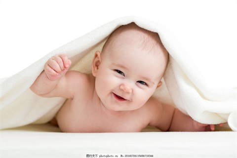 http://shenyang.nbgk120.com/post/194.html|沈阳新闻中心