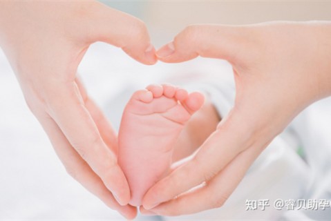 夏天沈阳捐卵宝宝发烧 莫要急