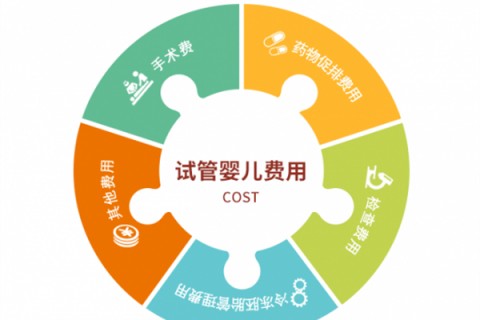 沈阳捐卵宝宝肚痛，父母该怎么办？