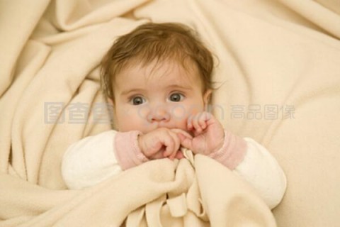 http://shenyang.nbgk120.com/post/188.html|沈阳新闻中心